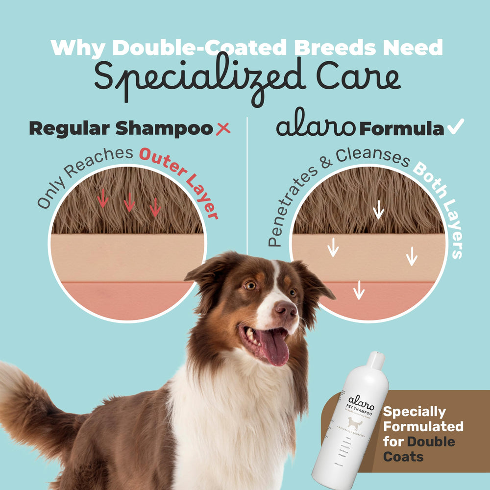 Alaro Dog Shampoo lathering on double-coated coat