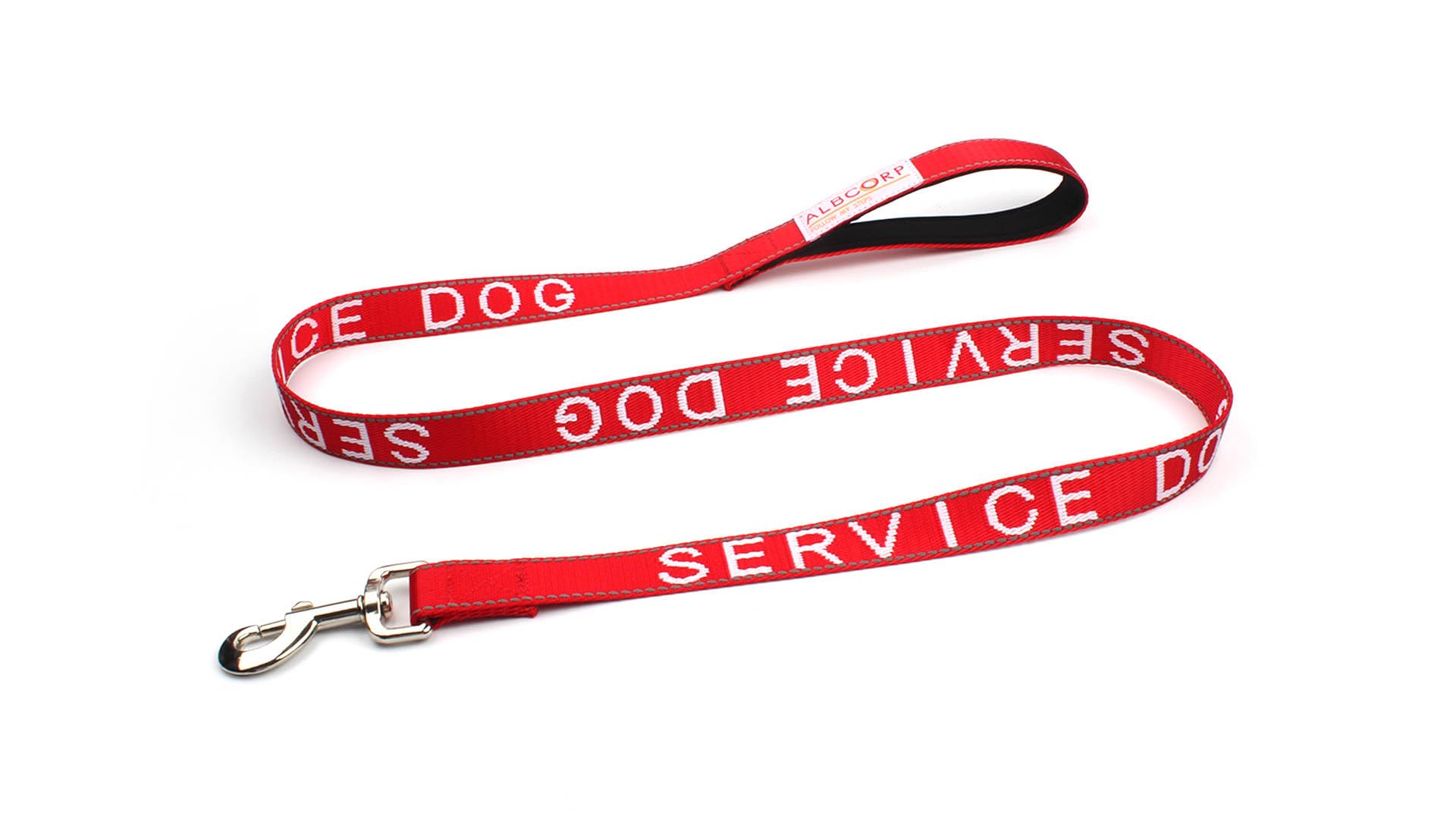 ALBCORP leash in action shows secure attachment to a collar.
