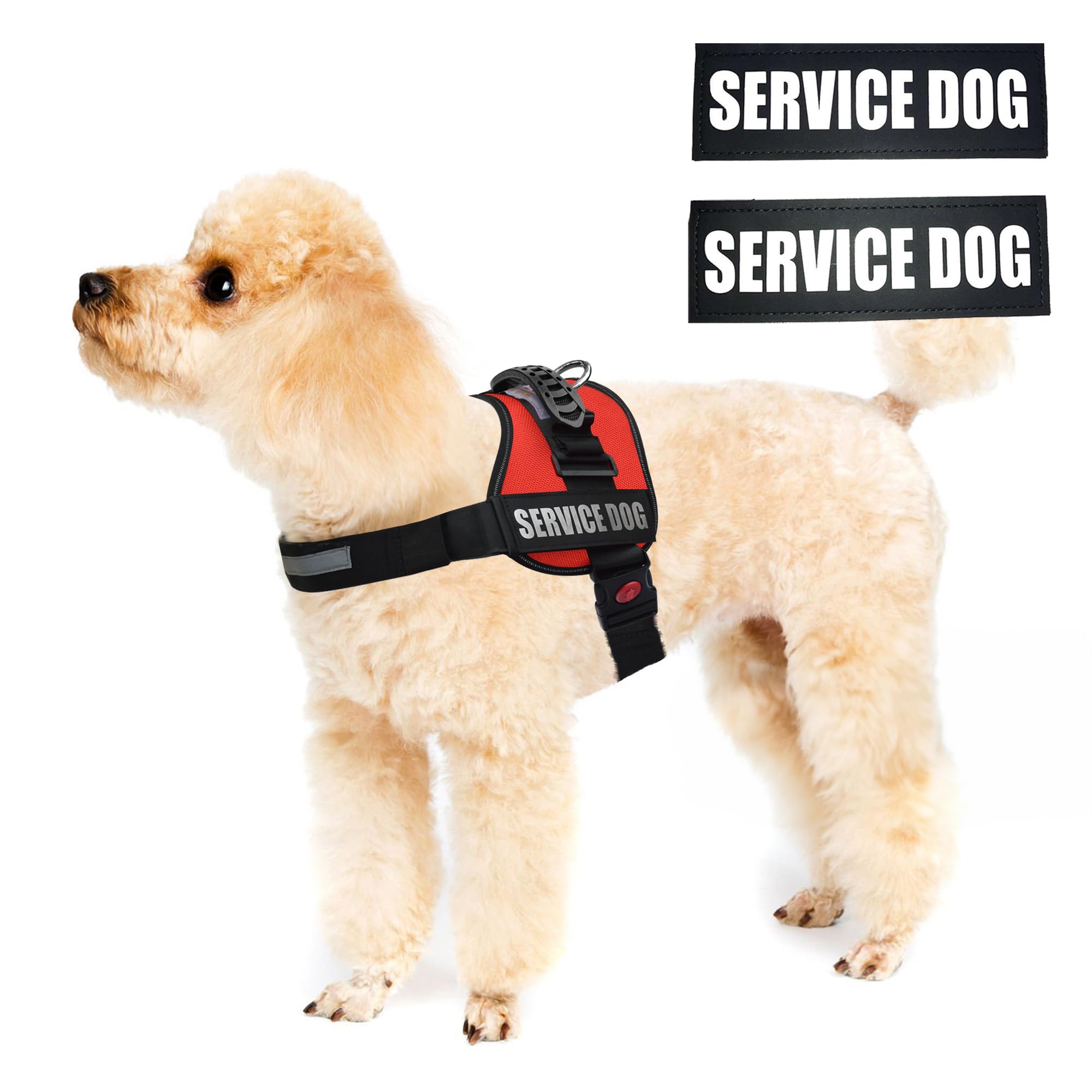 ALBCORP vest with removable patches for role updates.