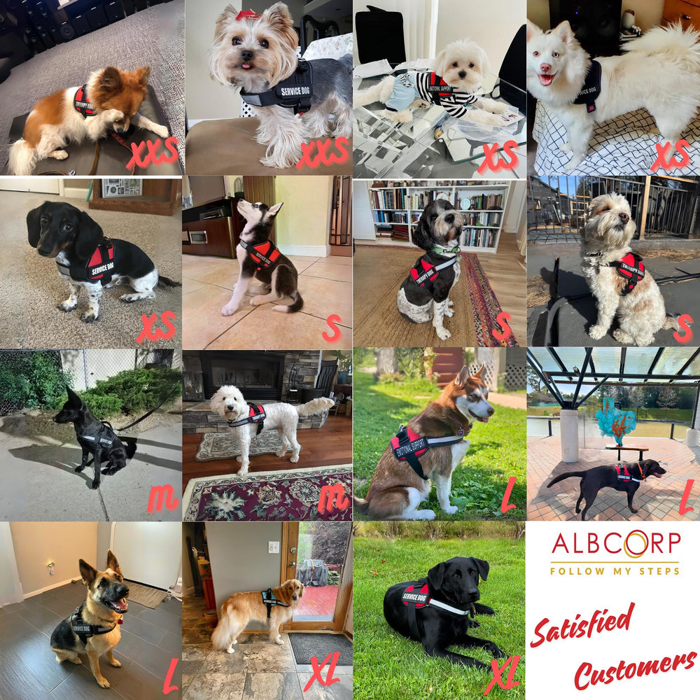 ALBCORP service-dog-vest-harness-patches includes removable patches for roles.