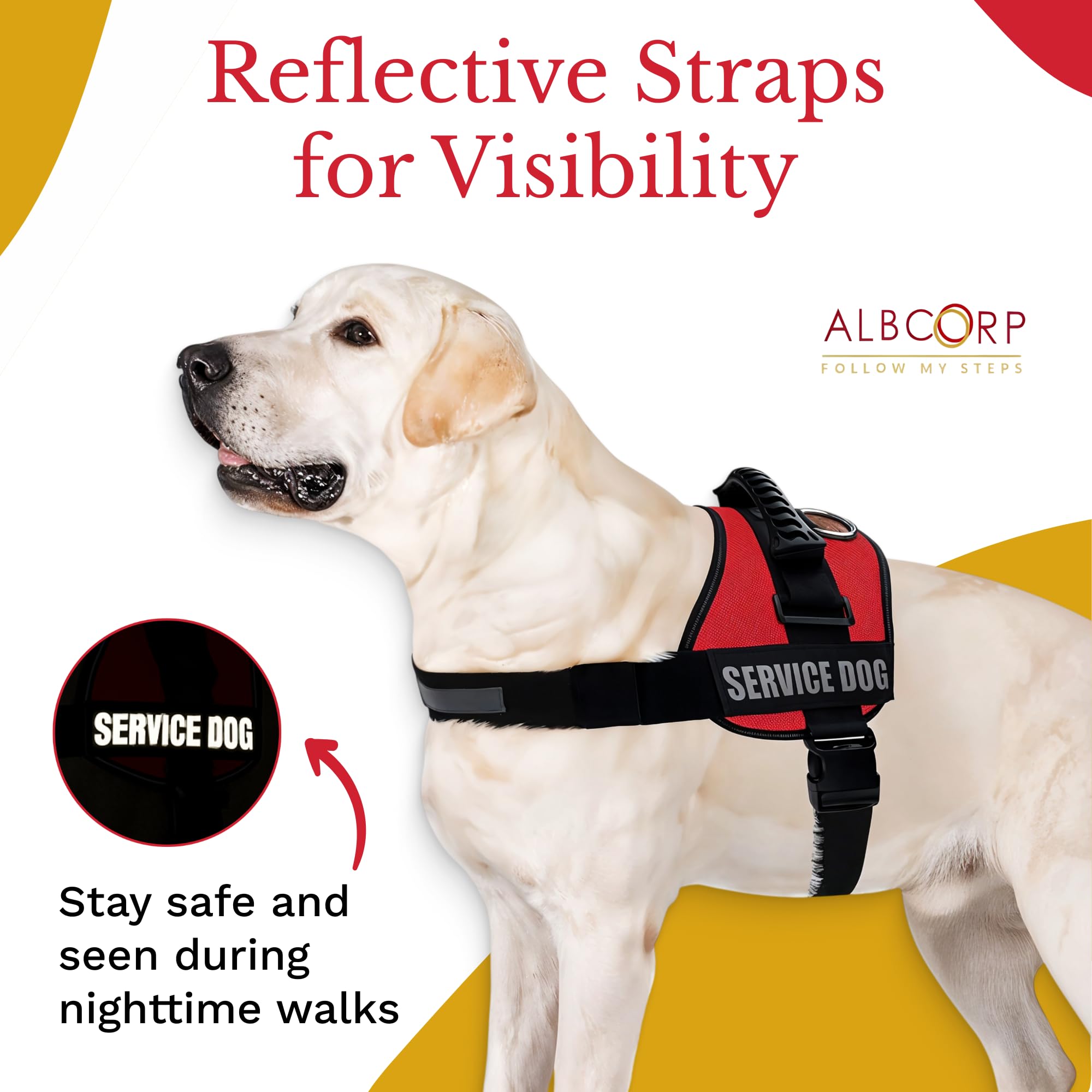 ALBCORP top handle feature for close control in crowds.