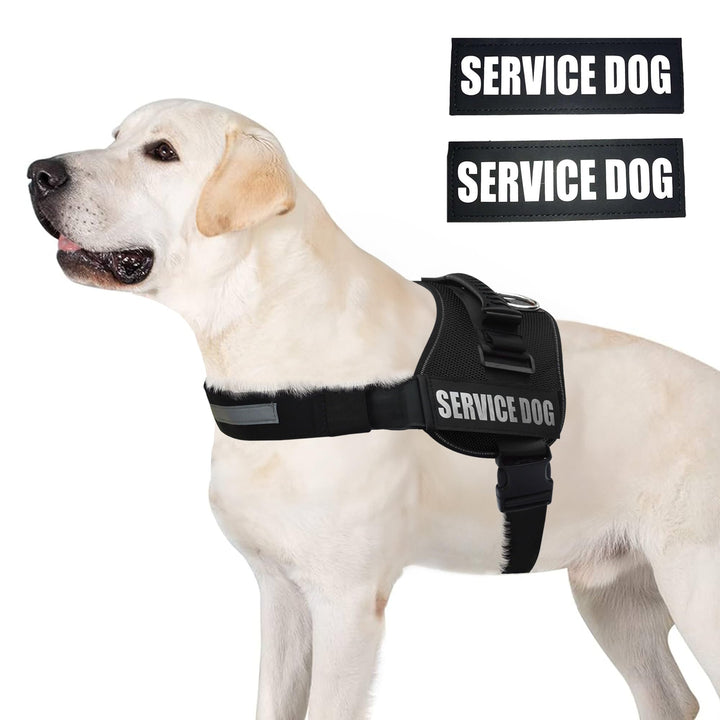 ALBCORP service-dog-vest-harness-top-handle enables close control in crowds.