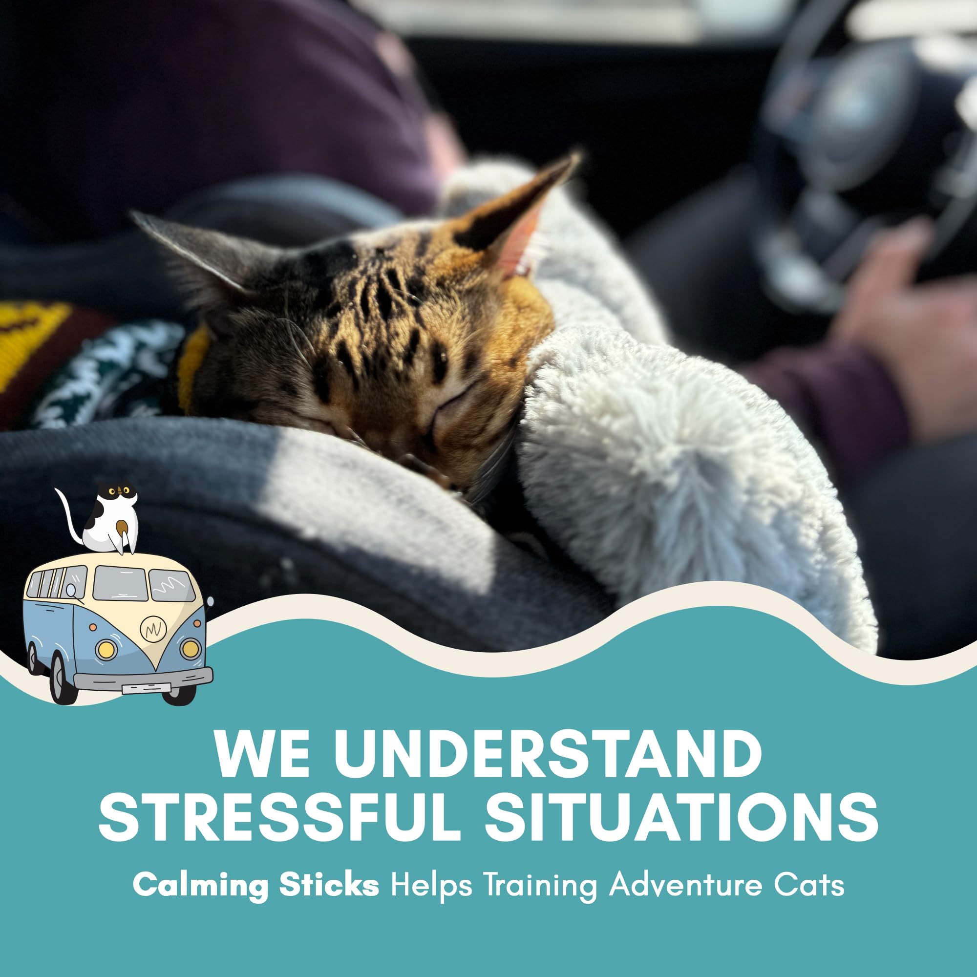 Albert & Mia no-drowsiness cat treat displayed for safe calm.