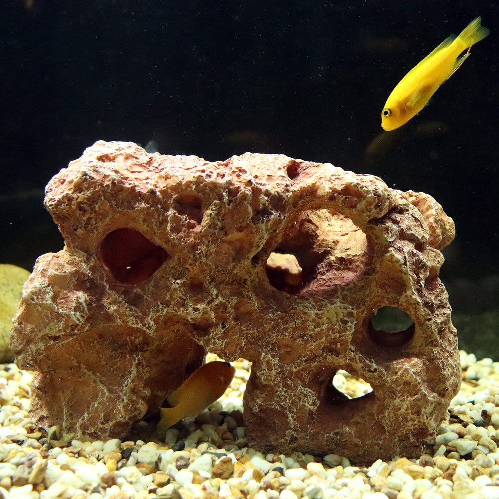 ALEGI resin aquarium decoration safe for freshwater and saltwater tanks.