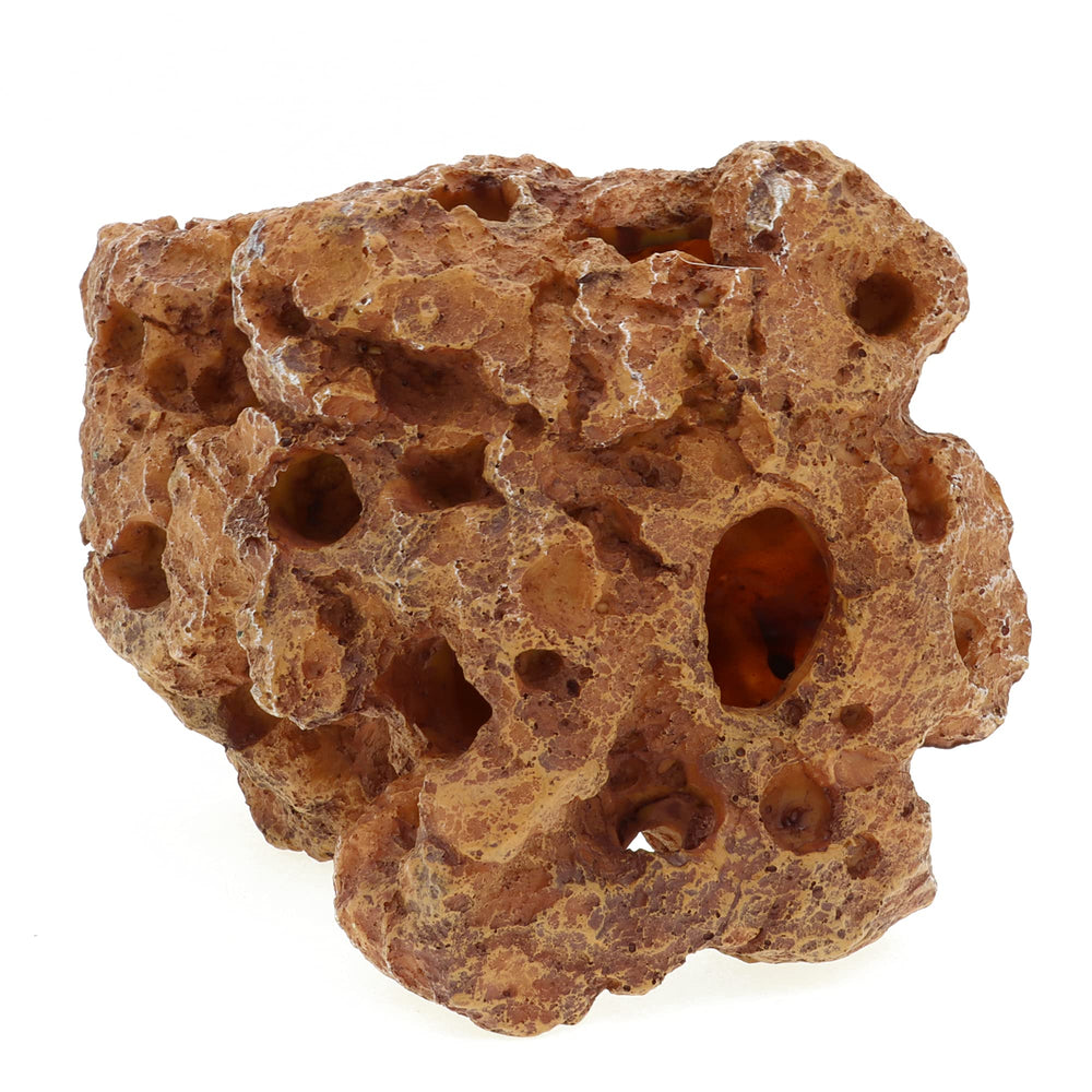 ALEGI artificial sea coral decor enhances color and natural scenery in your tank.