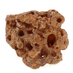 ALEGI artificial sea coral decor enhances color and natural scenery in your tank.