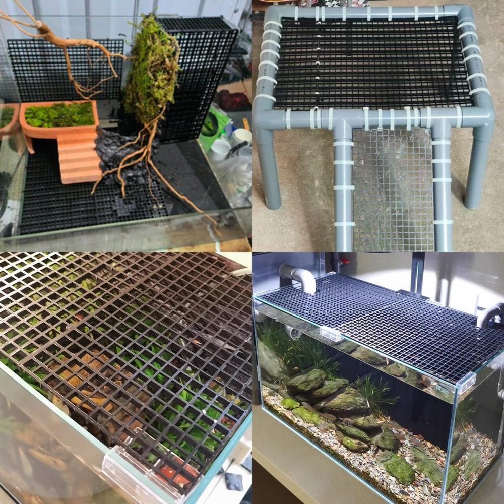 ALEGI grid divider for versatile tank setups and easy cleaning.