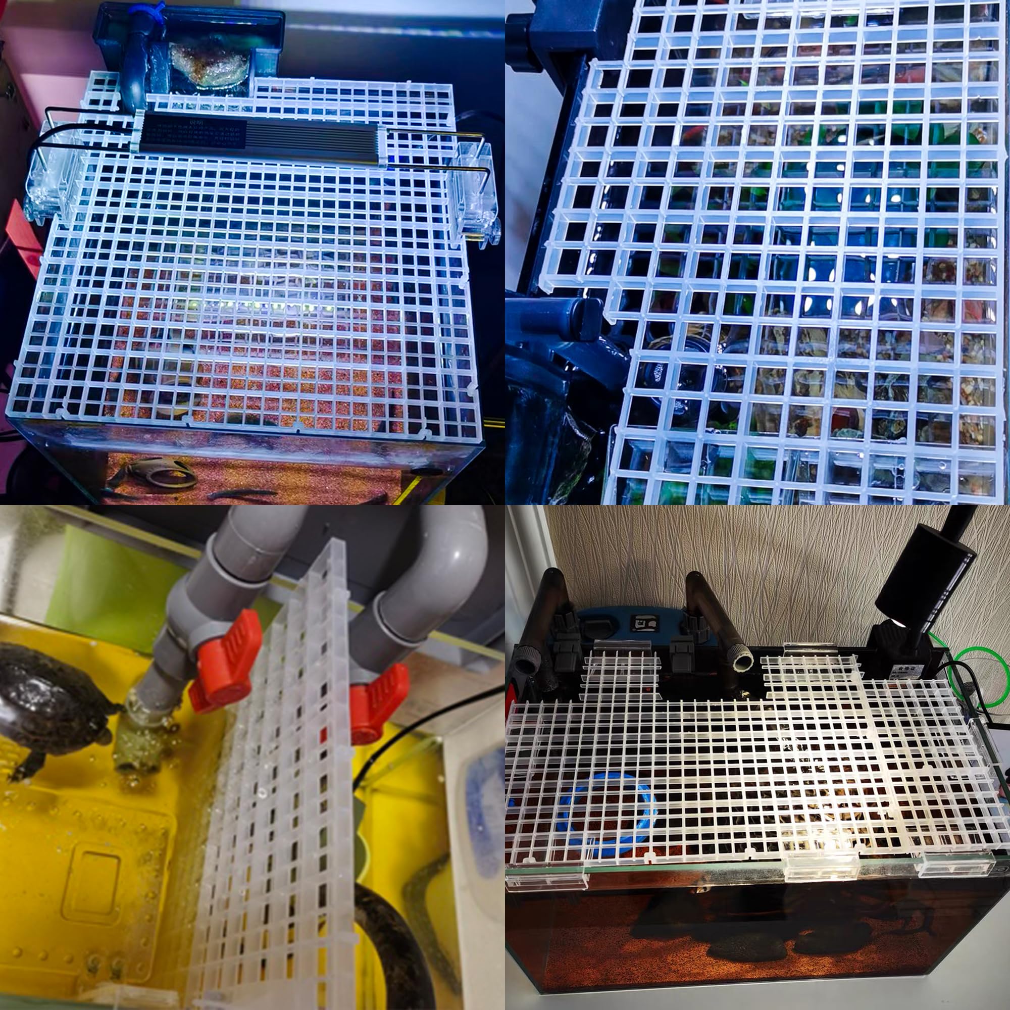 ALEGI turtle-drying platform integration provides a convenient resting area.