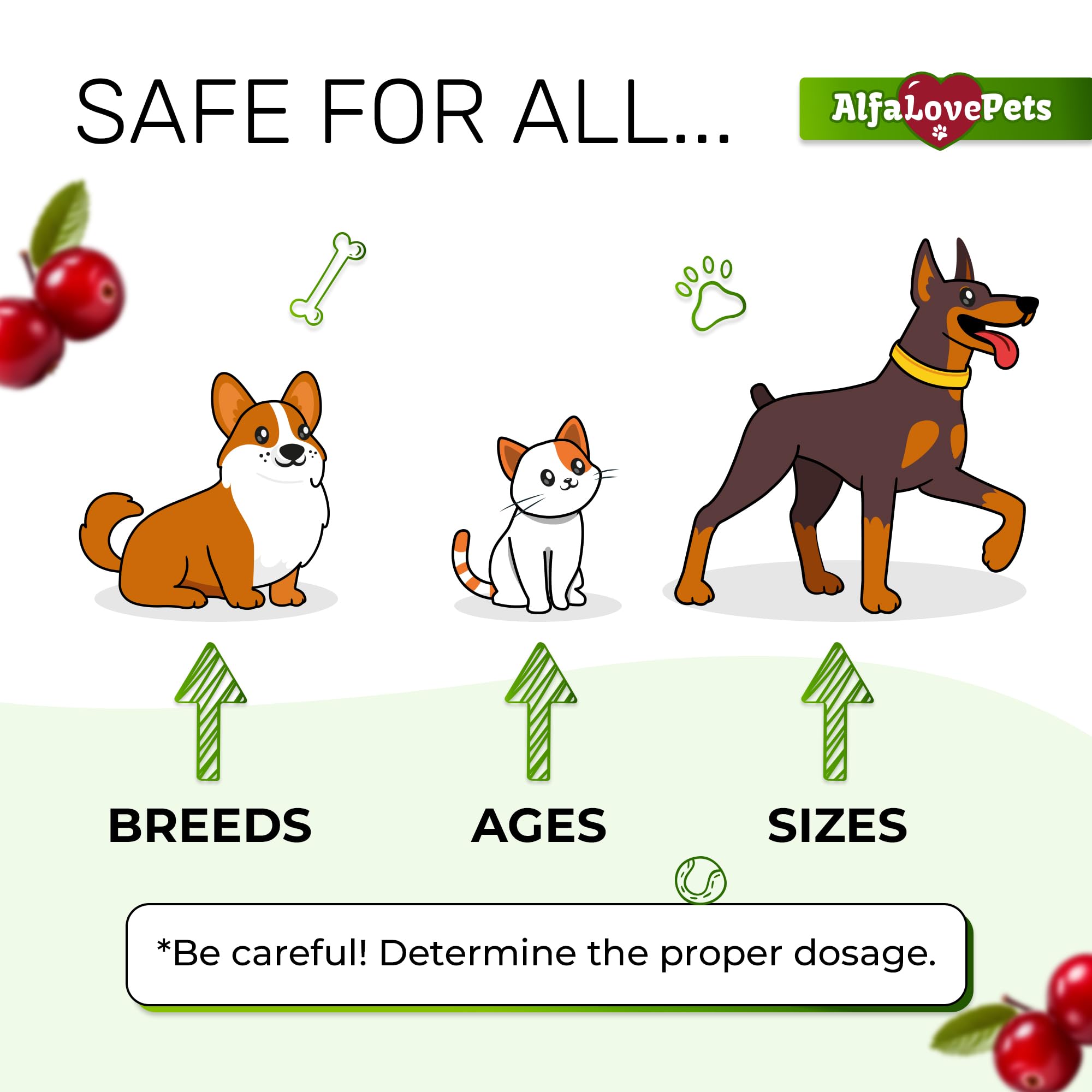 Alfa Love Pets cranberry supplement for dogs image highlighting gentle kidney support.