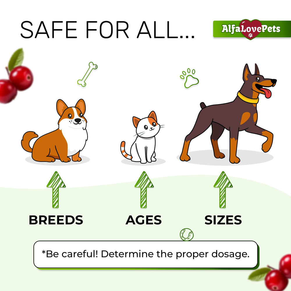 Alfa Love Pets cranberry supplement for dogs image highlighting gentle kidney support.
