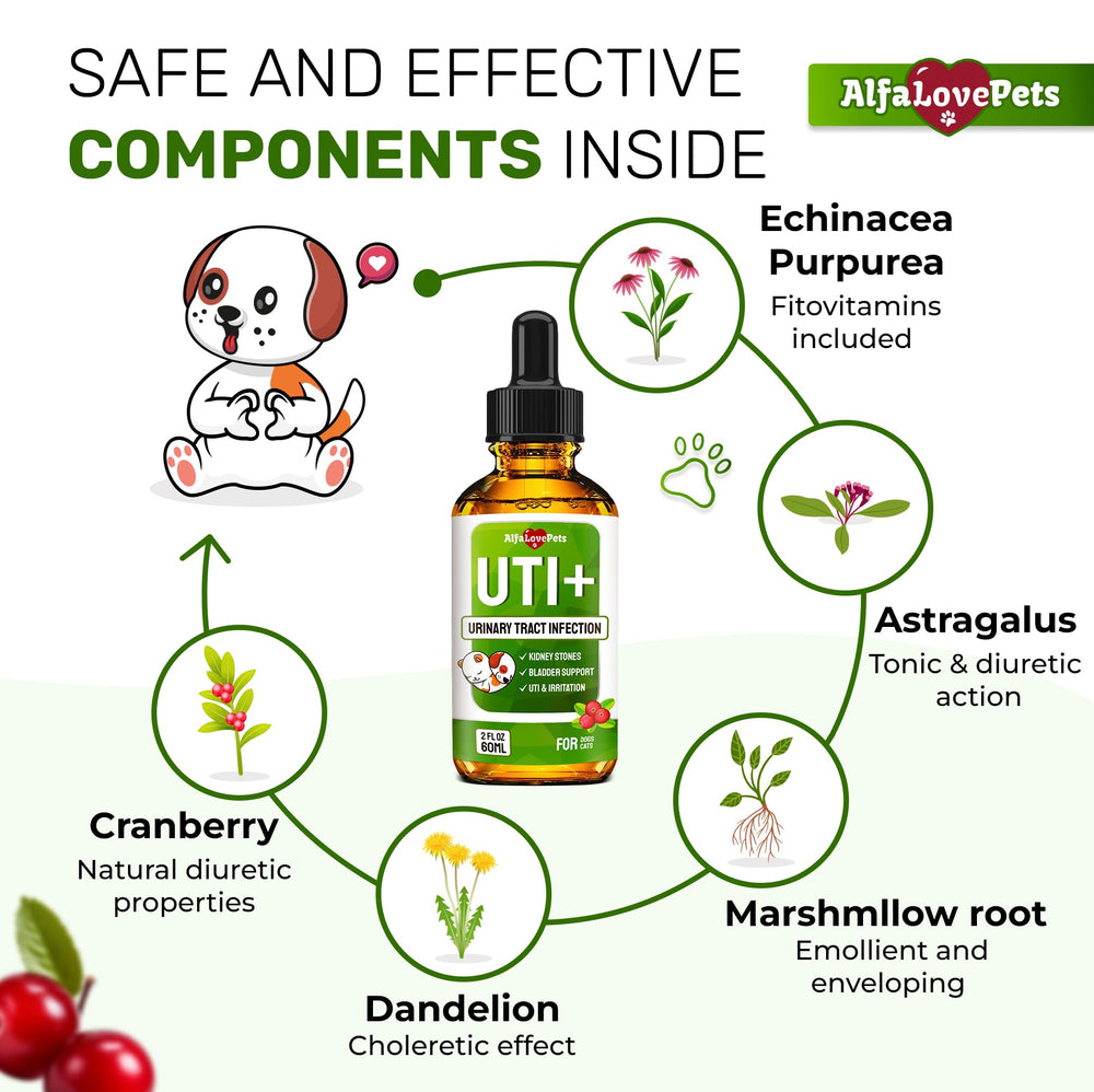 Alfa Love Pets urinary tract support for cats bottle highlighting cranberry extract benefits.