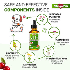 Alfa Love Pets urinary tract support for cats bottle highlighting cranberry extract benefits.