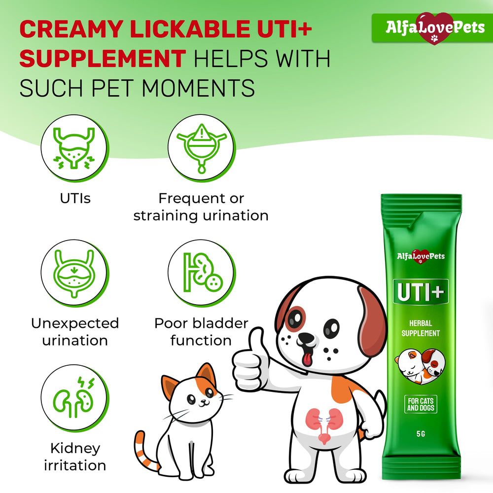Creamy texture close-up of Alfa Love Pets UTI stick.