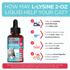 Alfa Pet lysine chicken-flavored liquid highlights palatability for daily use.