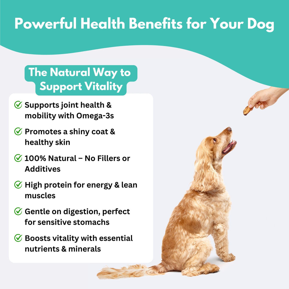 ALFIE'S TREATOS aroma and crunchy texture appeals to dogs and cats