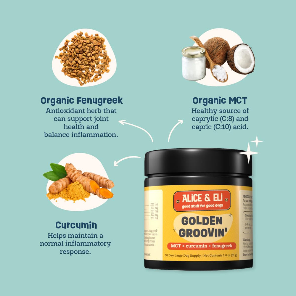 Alice & Eli Golden Groovin turmeric for dogs powder and scoop for convenient supplementation