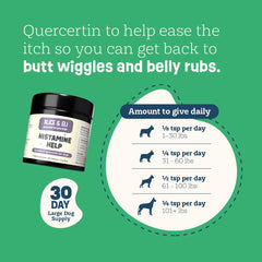 Alice & Eli Quercetin for Dogs, dog playing outside suggests seasonal relief.