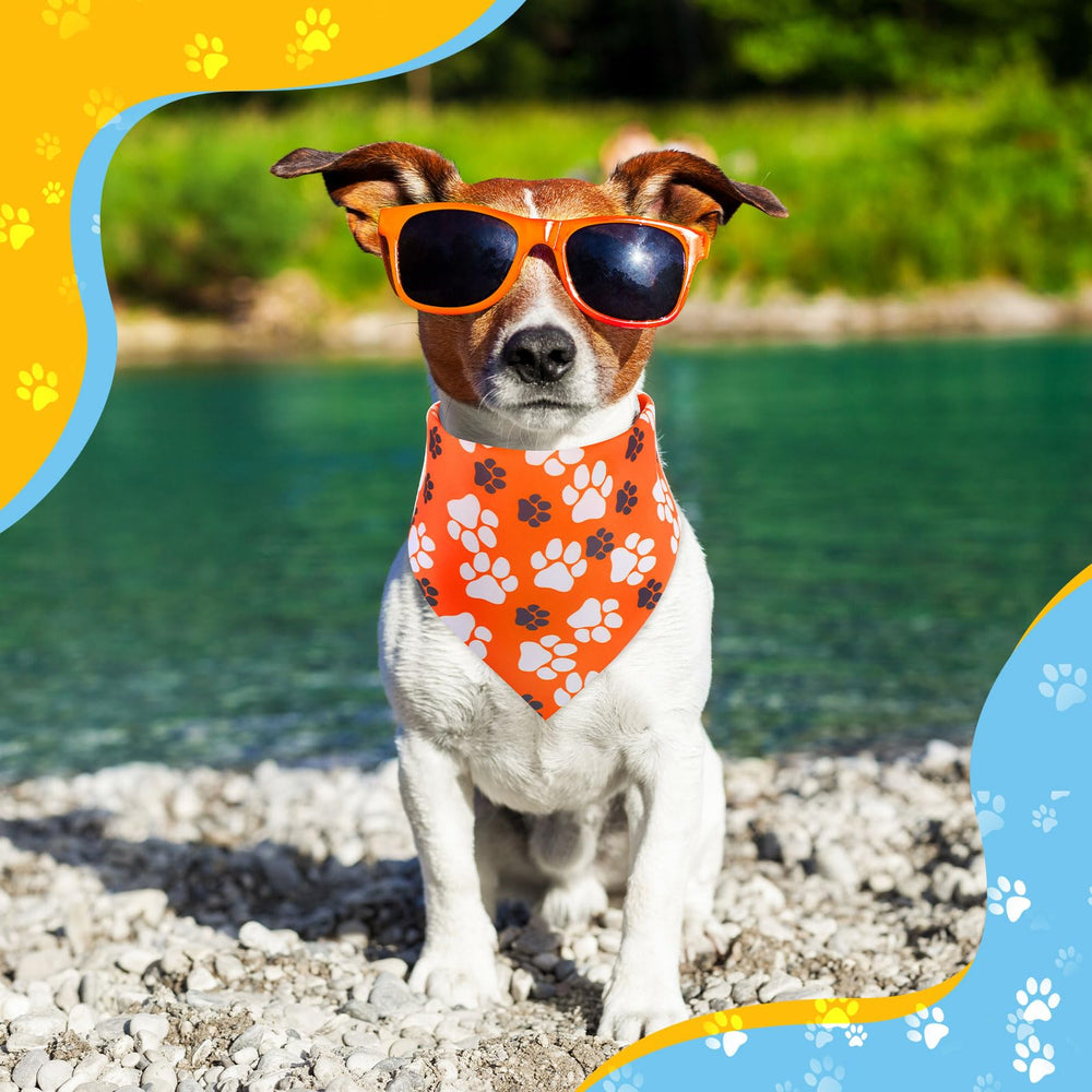 Aliceset daily wear and events bandana for photoshoots and parties.