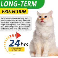 ALIVO cat antibiotic drops application for easy dosing and quick use