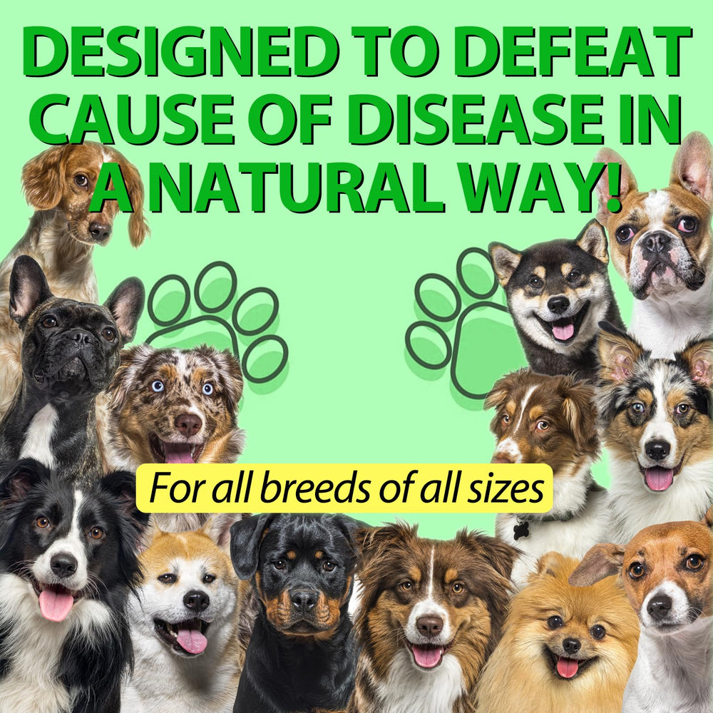 ALIVO dog health supplement scene illustrating easy daily care.
