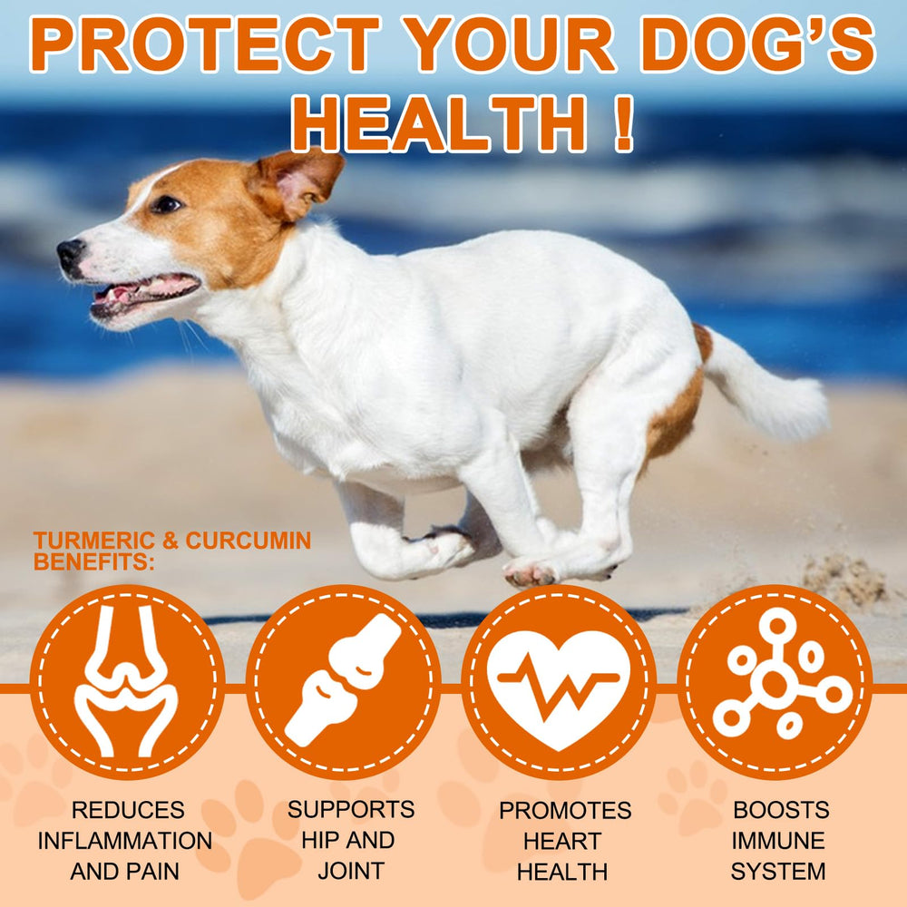 ALIVO Turmeric for Dogs digestive-health tablets support comfortable digestion.