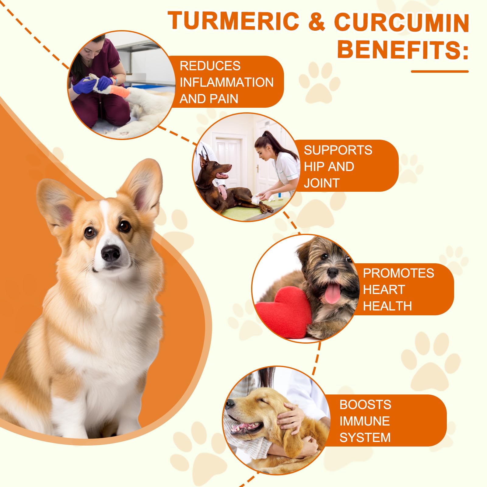 ALIVO Turmeric for Dogs immune-support tablets enhance everyday immune function.