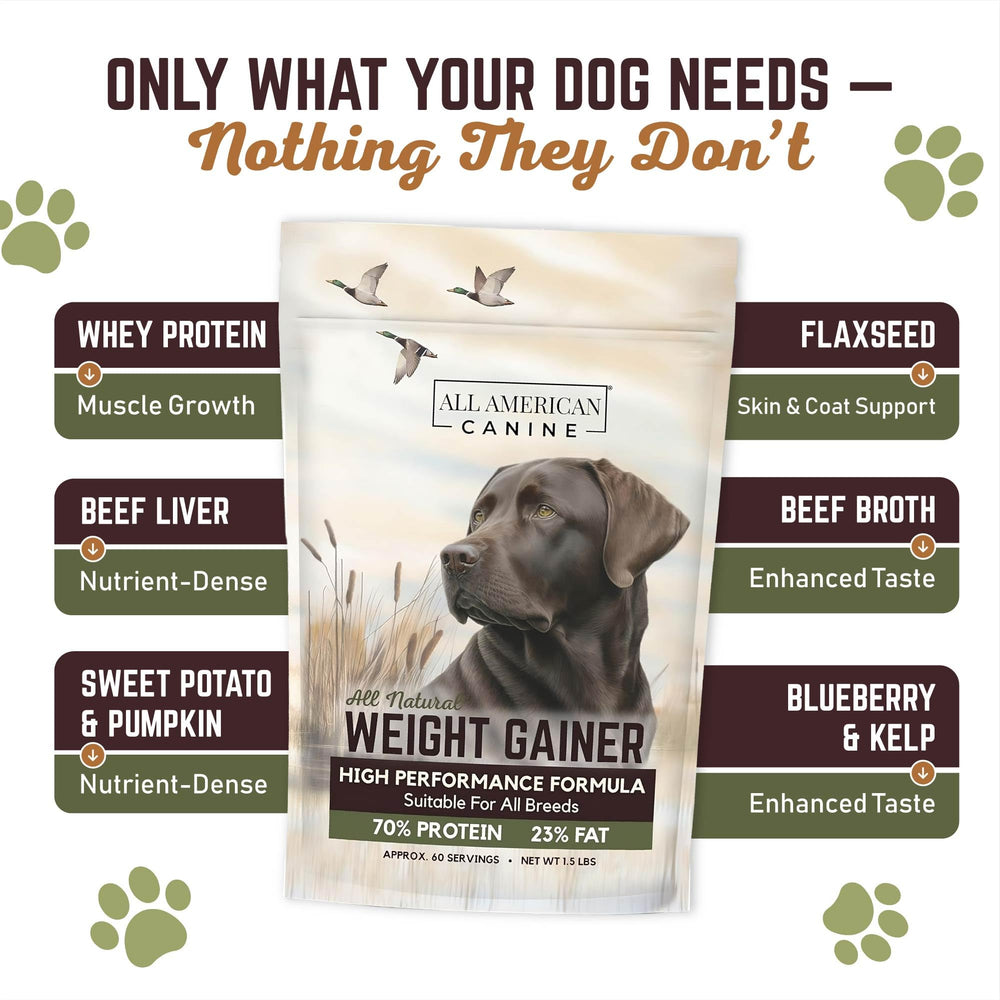 All American Canine beef broth protein powder provides a tasty protein source.