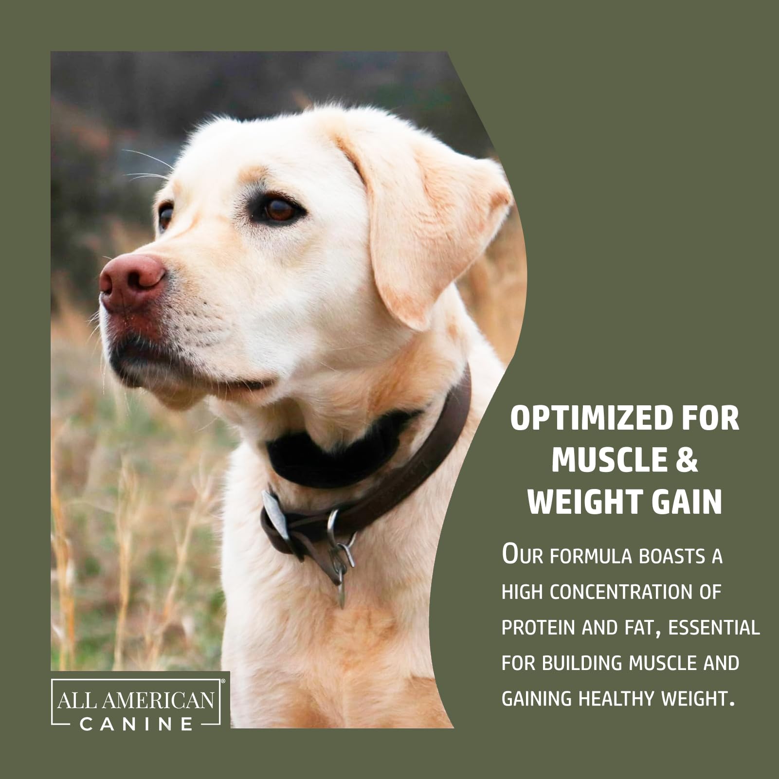 All American Canine beef liver powder provides essential nutrients