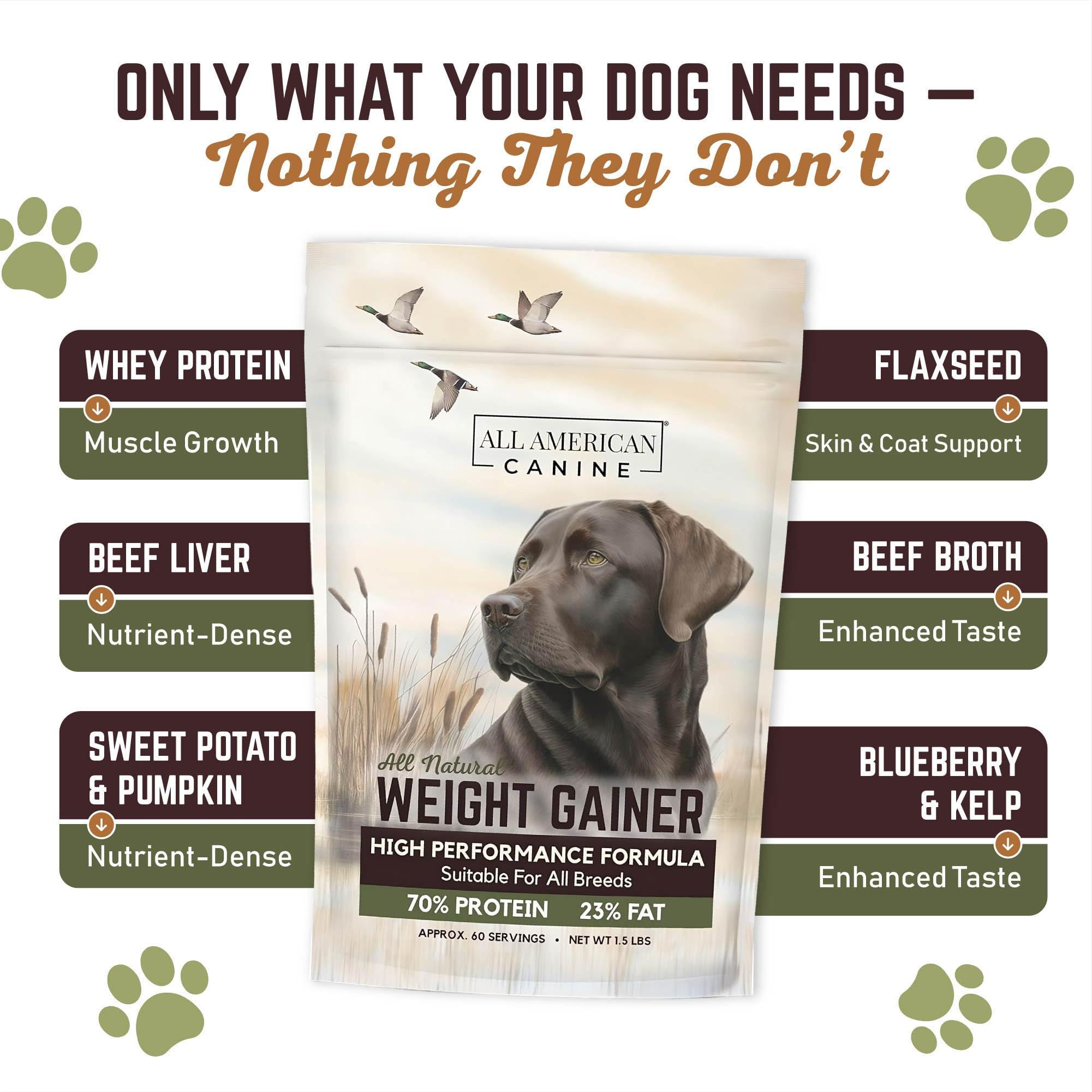 All American Canine Bulk Weight Gainer dog enjoying playtime with extra energy.