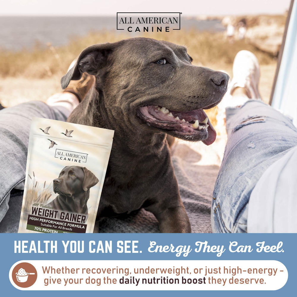 All American Canine Bulk Weight Gainer blend of beef, pumpkin, and flaxseed adds flavorful nutrition for weight gain.