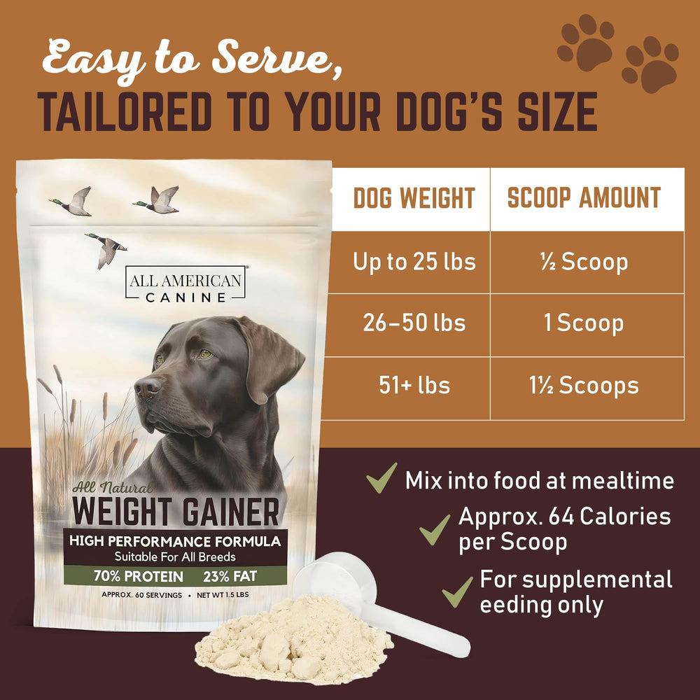 All American Canine Bulk Weight Gainer served at mealtime supports easy feeding and enjoyment.