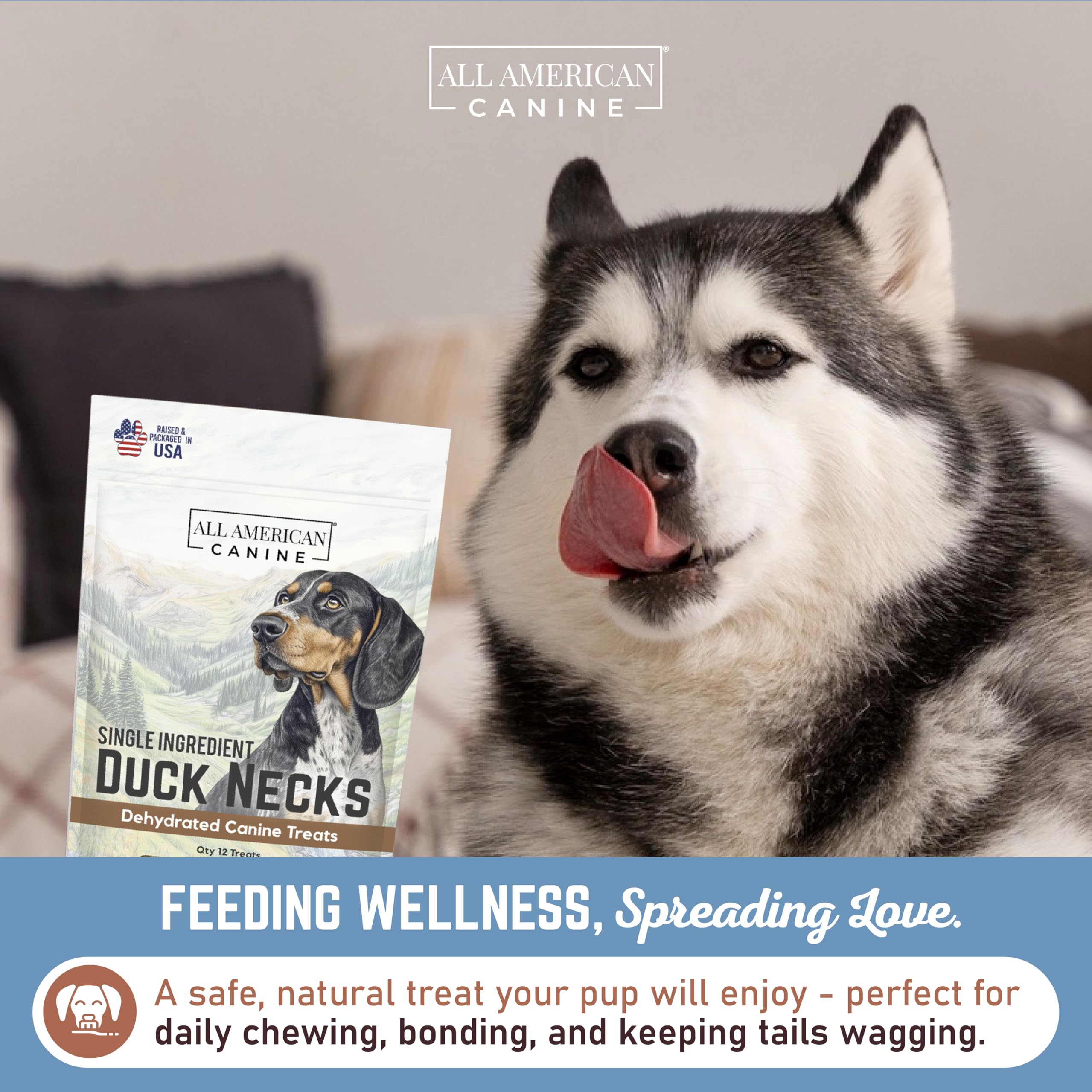 All American Canine training-boost image illustrates bite-sized rewards for positive reinforcement.