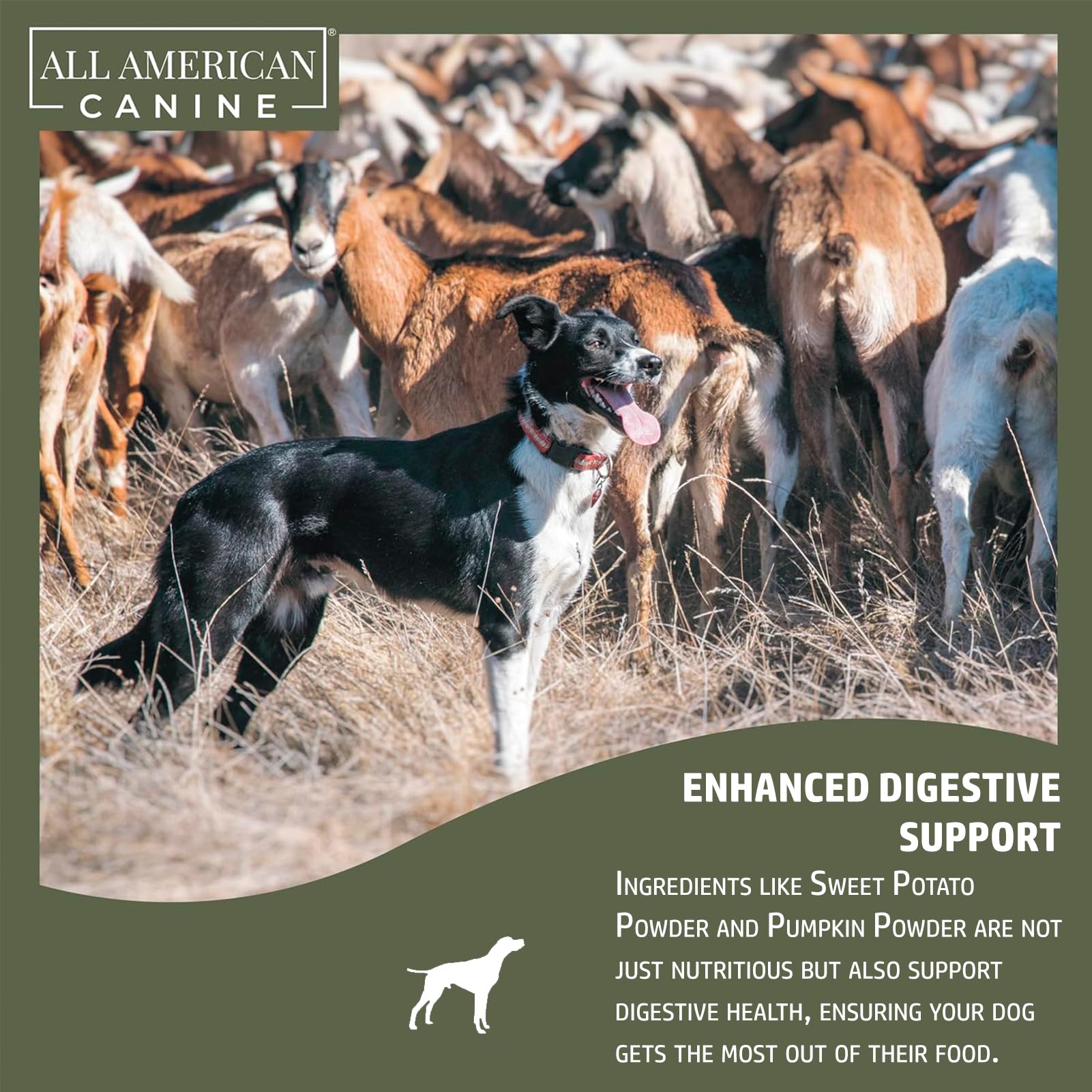 All American Canine ground flaxseed adds omega-3 for coat health