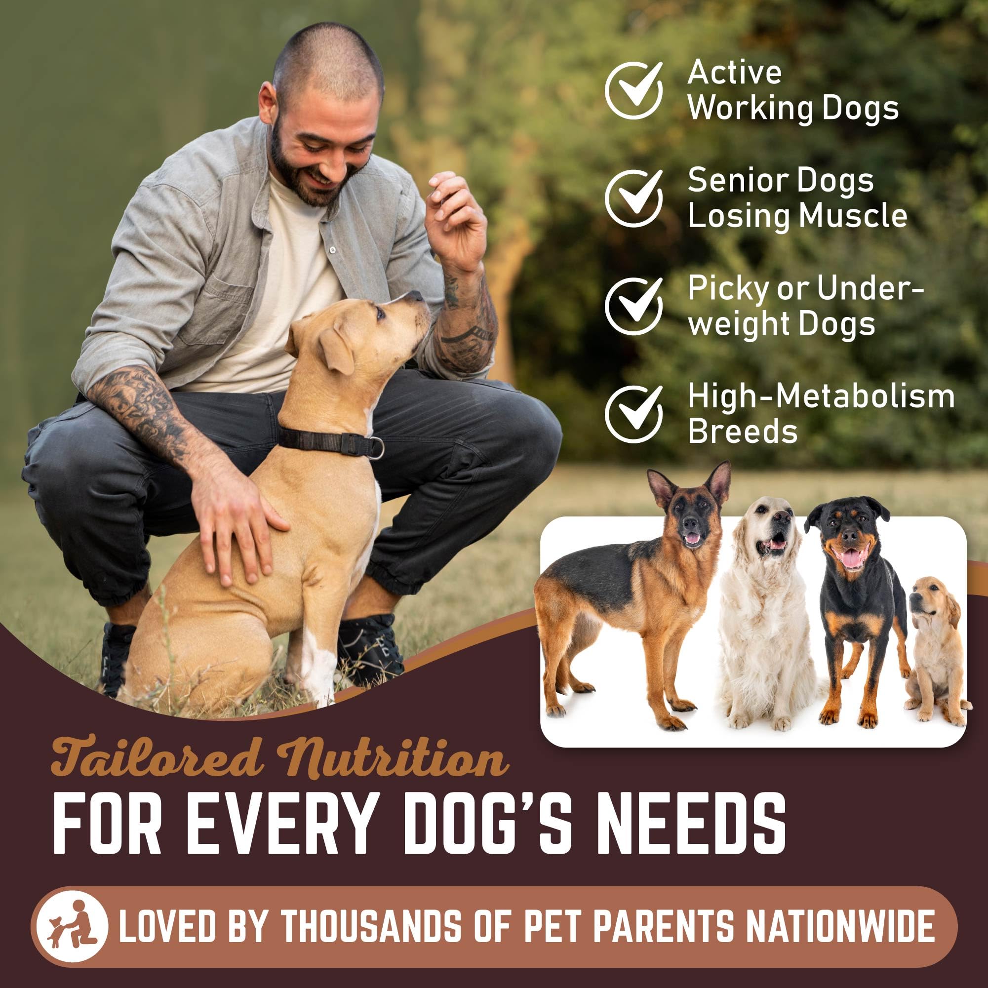 All American Canine Sweet potato pumpkin blueberry blend supports digestion and flavor.