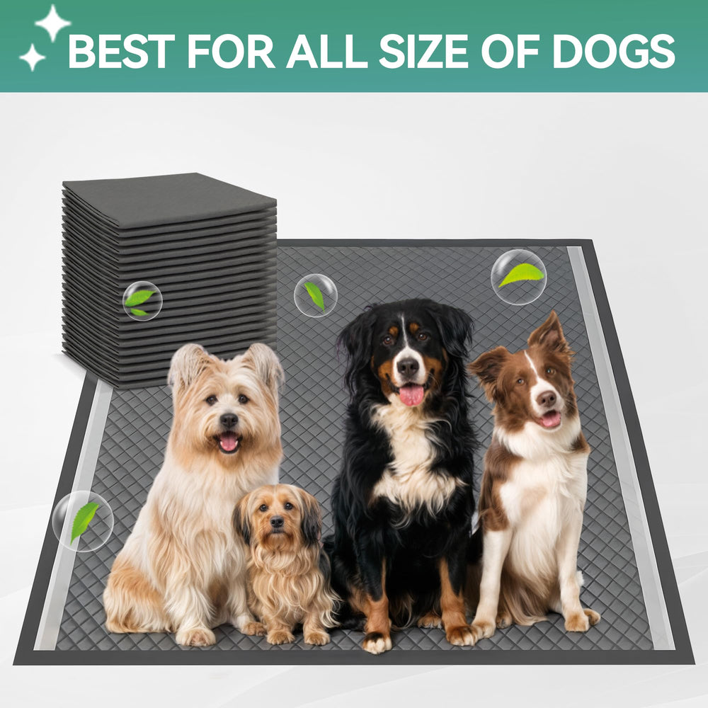 ALL FOR PAWS 25x25 inch tray fits most dogs for comfortable potty sessions.