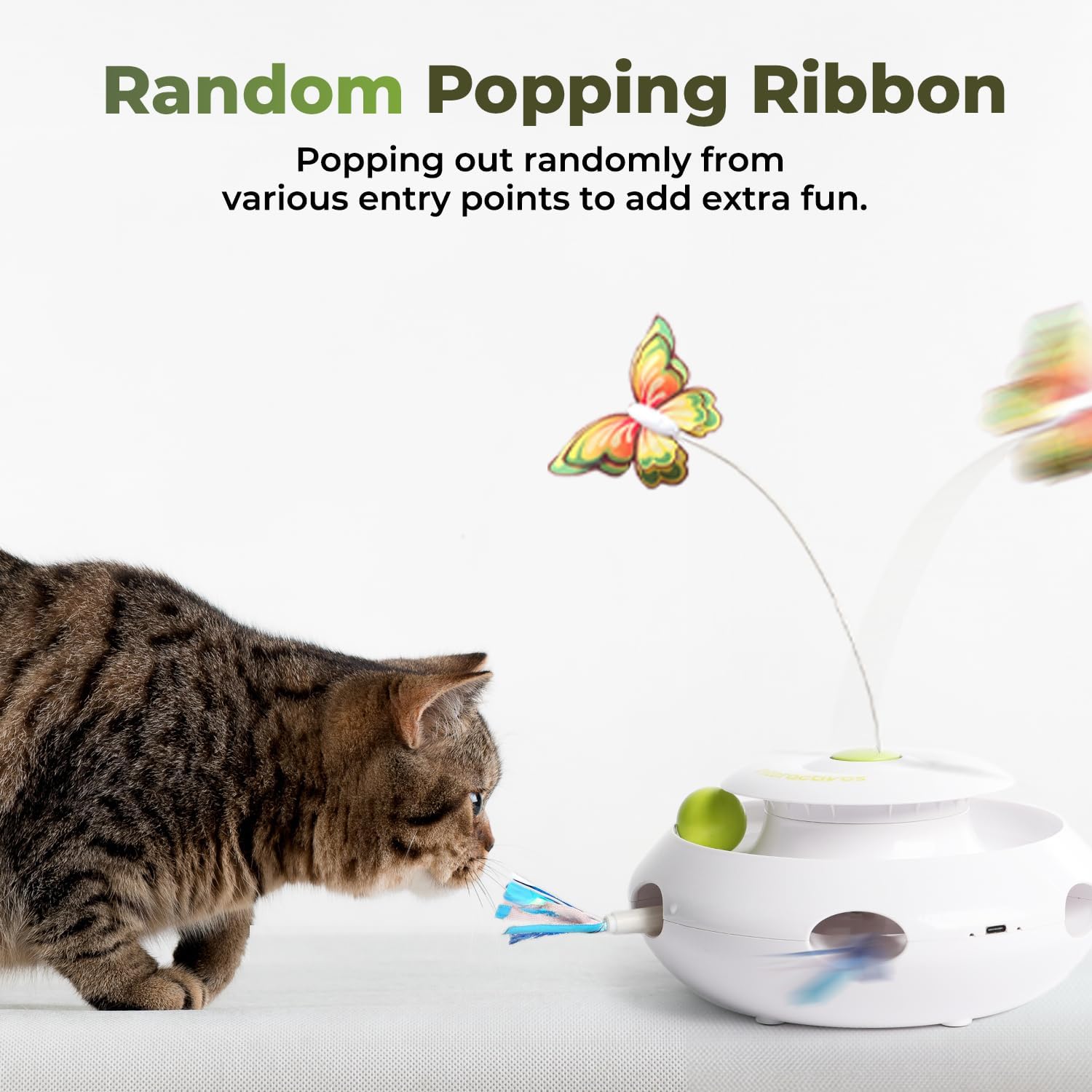 ALL FOR PAWS 360-degree butterfly spins, encouraging swats and leaps during engaging sessions.