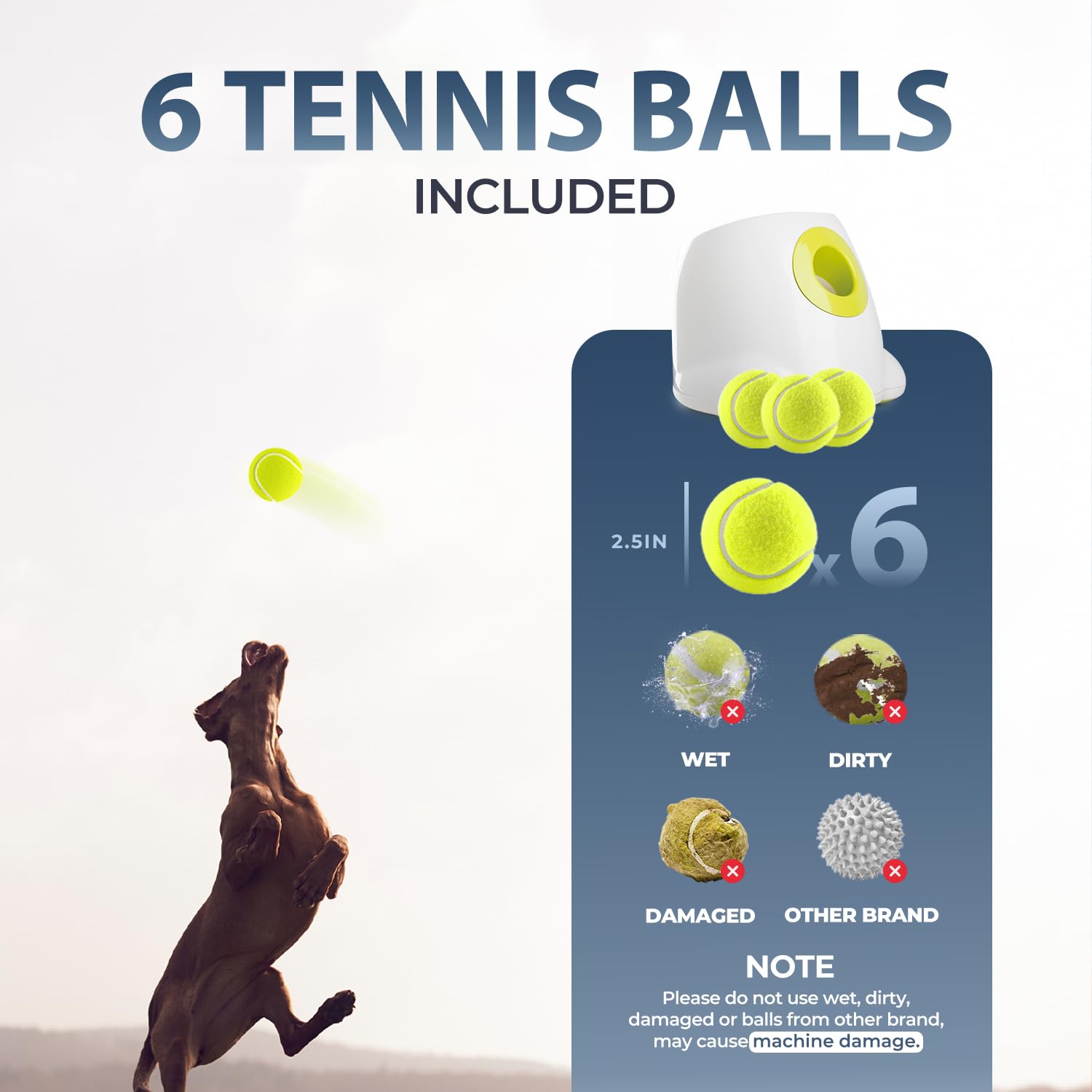 Six 2.5-inch balls included with All For Paws launcher for immediate fetch sessions.