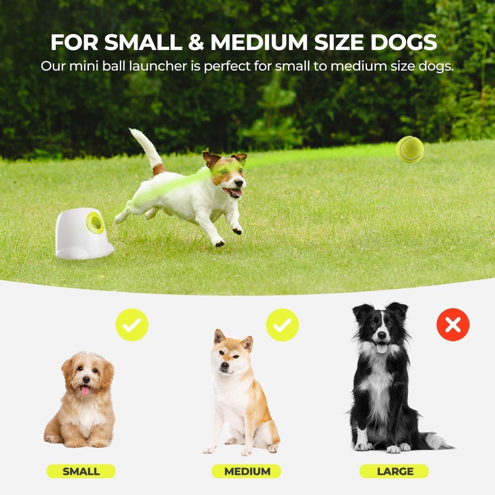 ALL FOR PAWS AFP launcher battery or AC power option provides flexible setup