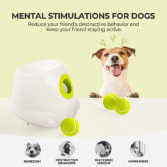 ALL FOR PAWS AFP automatic ball launcher with included balls enables immediate fetch sessions