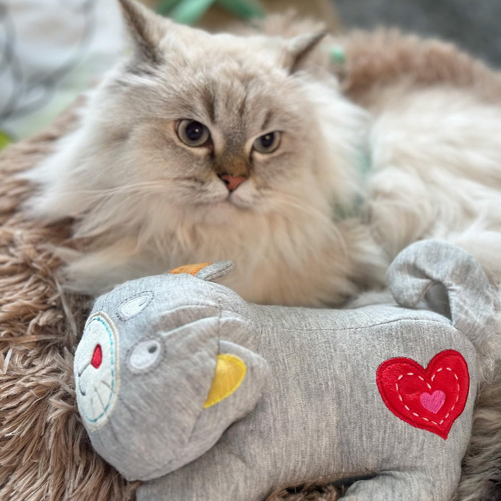 ALL FOR PAWS AFP Heartbeat Cat Toy durable stitching for daily cuddles and play.
