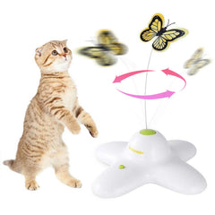 ALL FOR PAWS AFP interactive butterfly rotation boosts indoor cat play and exercise.