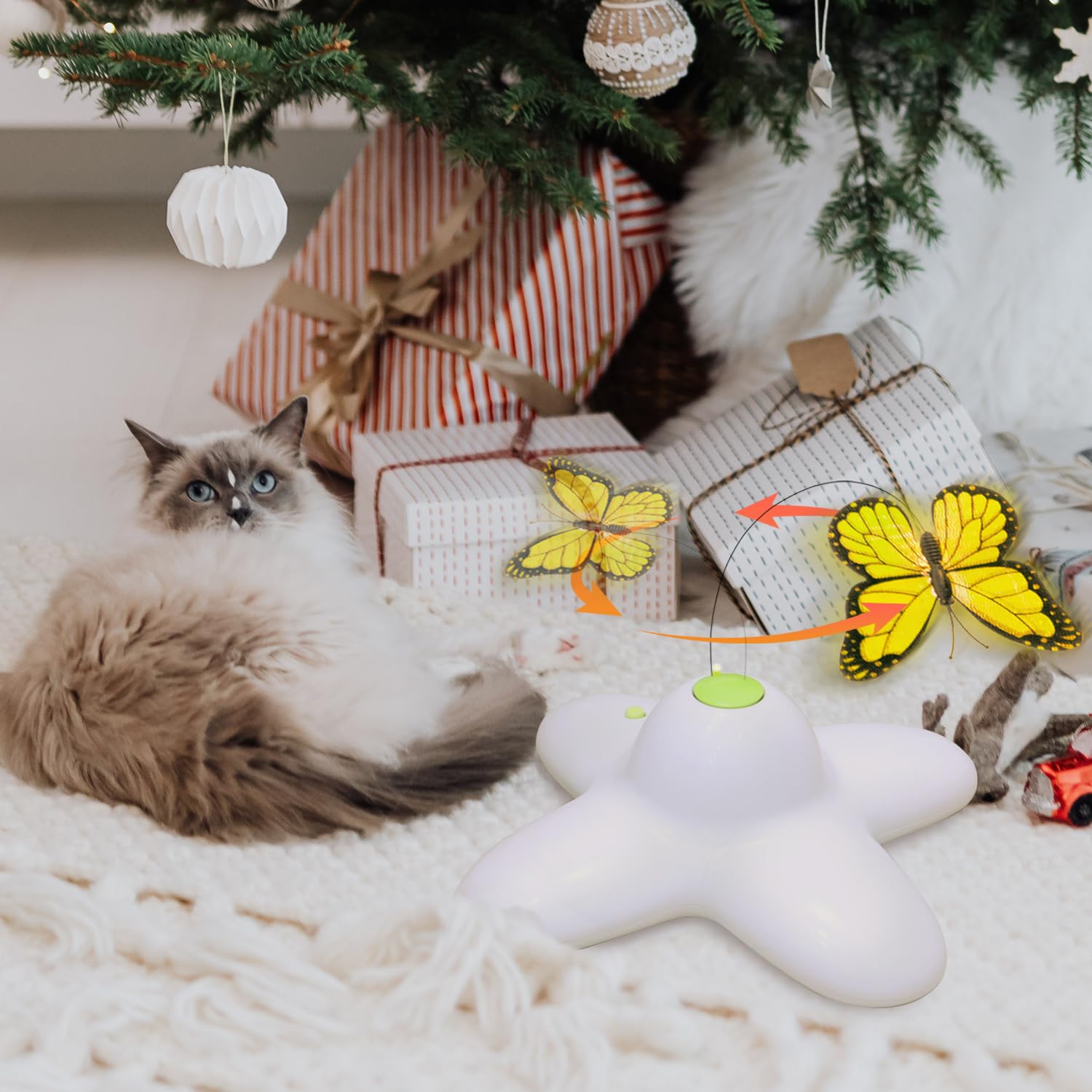 ALL FOR PAWS AFP kitten-safe rotating toy for curious indoor kittens.