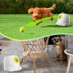All For Paws Automatic Ball Launcher in action during dog fetch for active play.