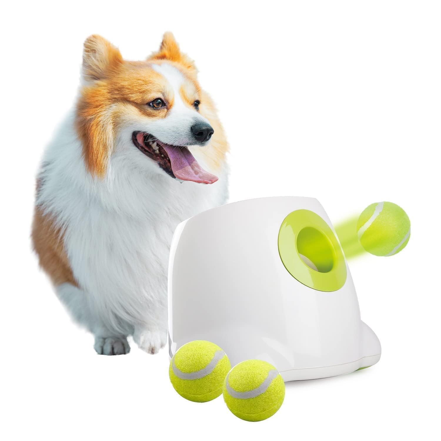 All For Paws Automatic Ball Launcher front view for easy setup and reliable fetch play.