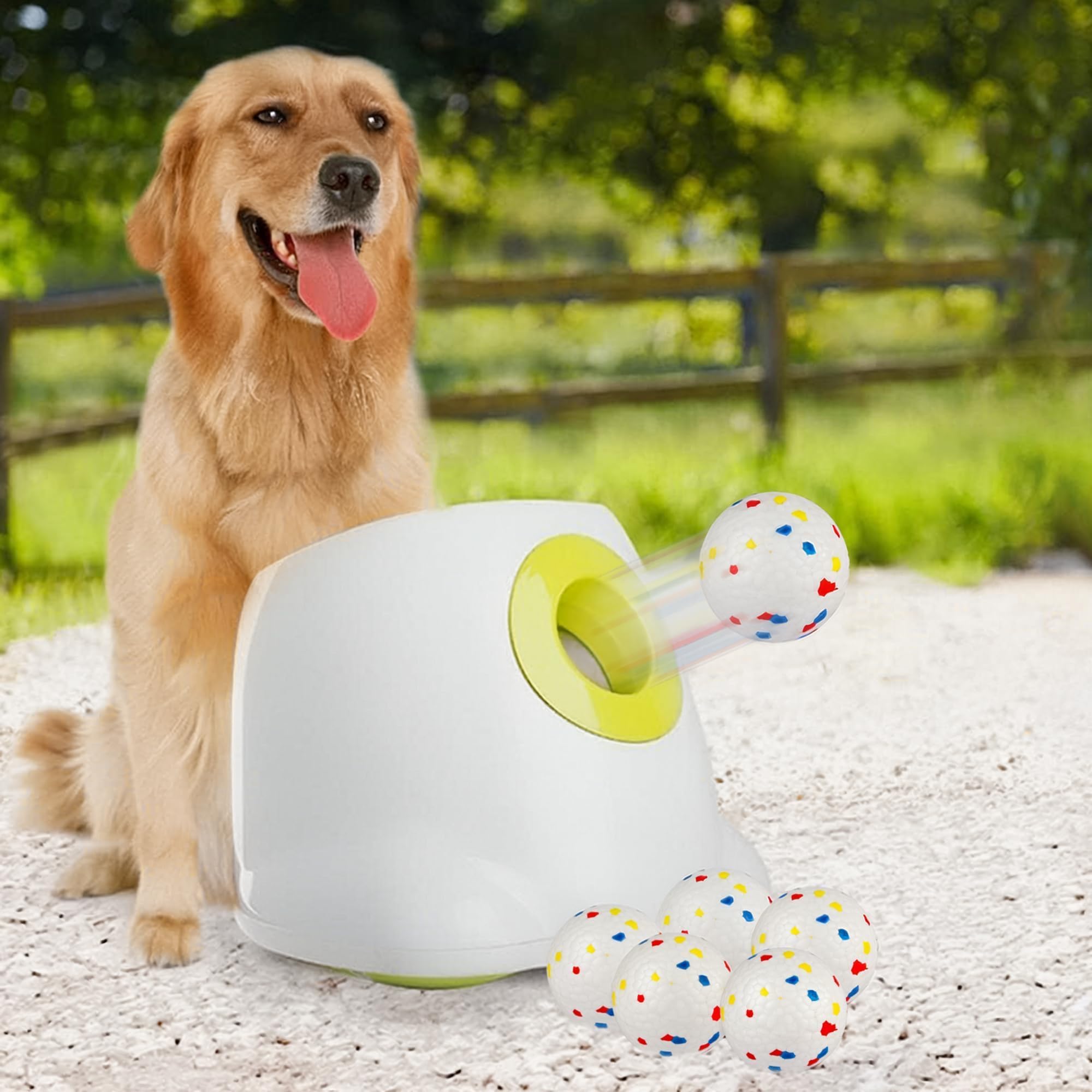 ALL FOR PAWS automatic ball launcher front view showing compact design for easy setup