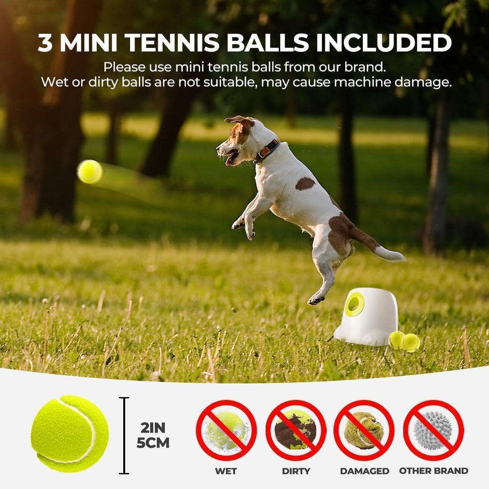All For Paws Automatic Ball Launcher used indoors outdoors for versatile play with dogs.