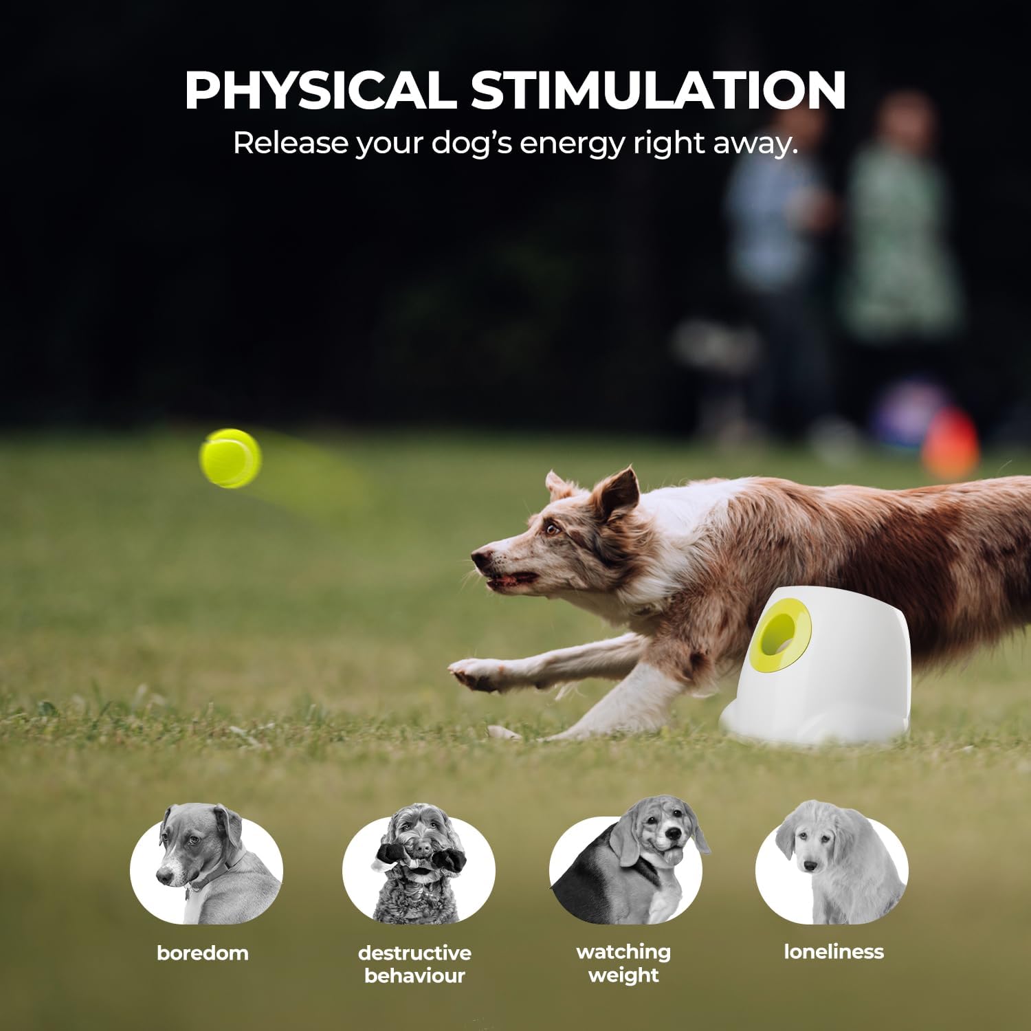 All for Paws ball launcher backyard use for daily outdoor fun and exercise.