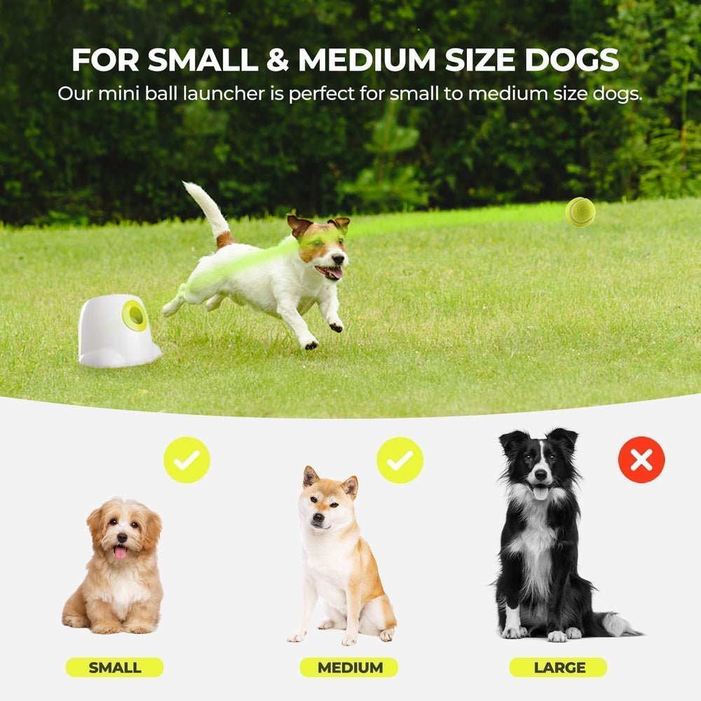 All For Paws Ball Launcher charging options showcase flexible power at home.