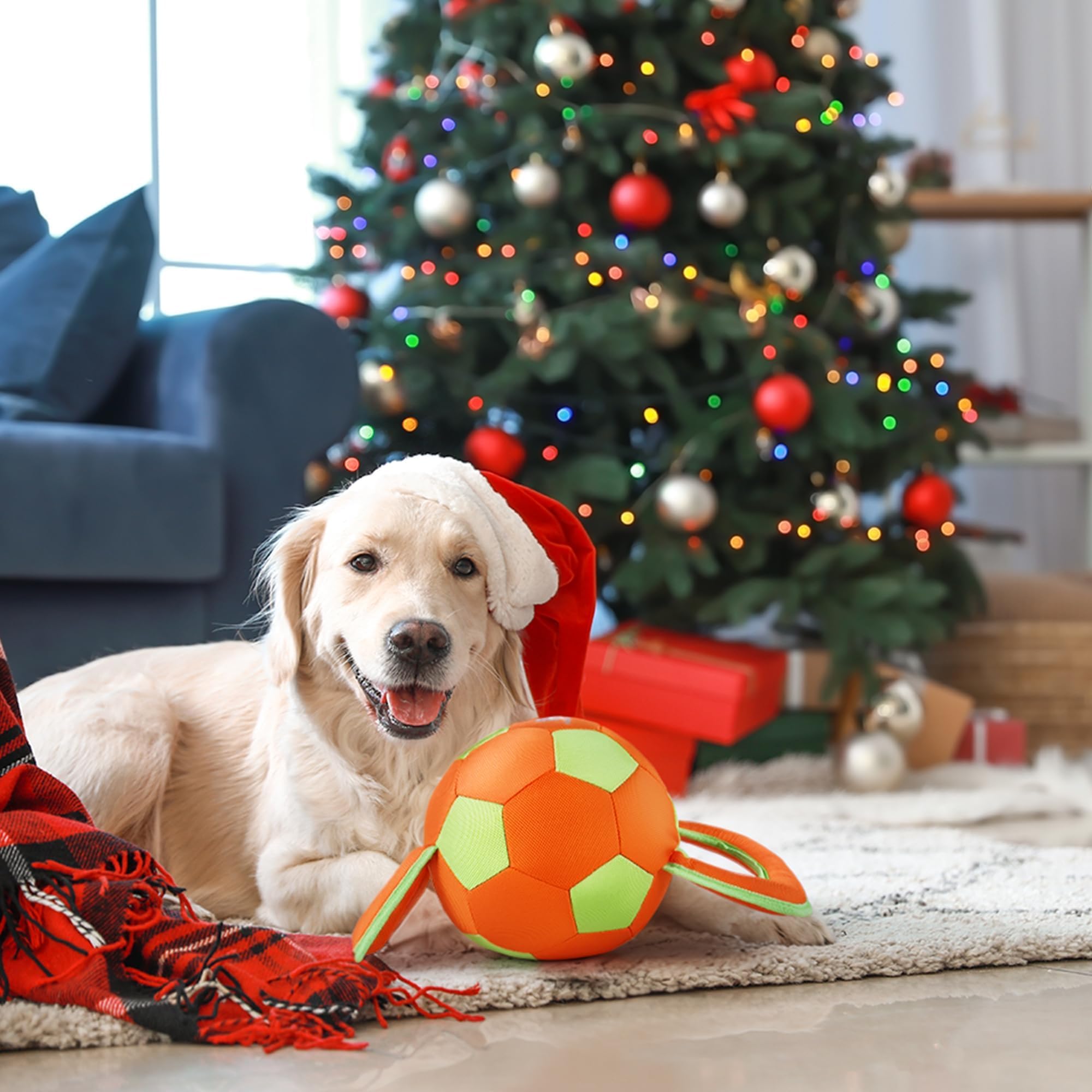 ALL FOR PAWS Ballistic Handle Ball resists strong pulls during active play.
