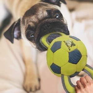 ALL FOR PAWS Ballistic Handle Ball is intended for supervised use with dogs.